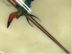 �I�[�o�[�z�[�� Takayama DT1 23_28